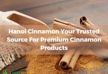 hanoi-cinnamon-trusted-source-premium-cinnamon-products