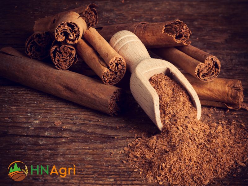 hanoi-cinnamon-trusted-source-premium-cinnamon-products-1