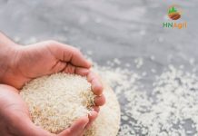rice-wholesale-suppliers-2