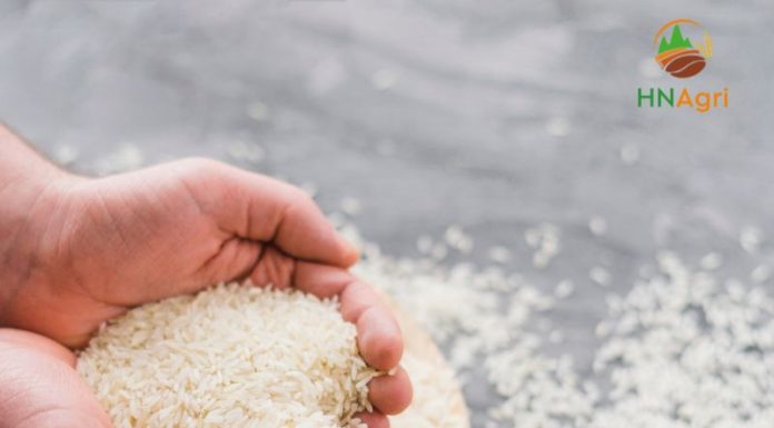 rice-wholesale-suppliers-2