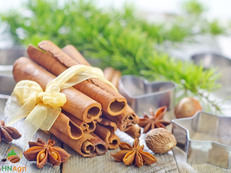 importers-can-reap-enormous-profits-vietnamese-cinnamon-bark-1