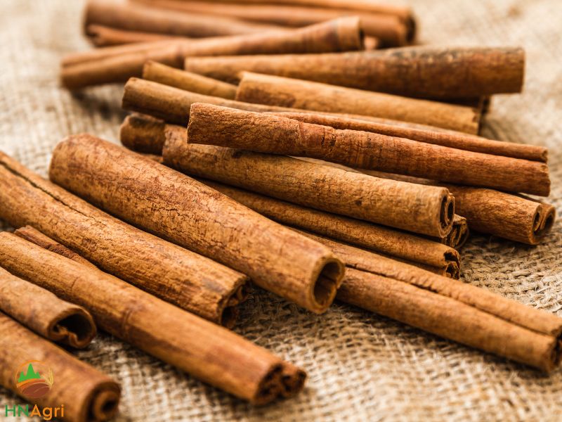 importers-can-reap-enormous-profits-vietnamese-cinnamon-bark-2