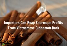 importers-can-reap-enormous-profits-vietnamese-cinnamon-bark