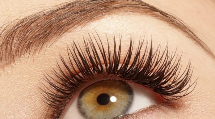 strip-lashes-wholesale-uk-best-investment-business-1
