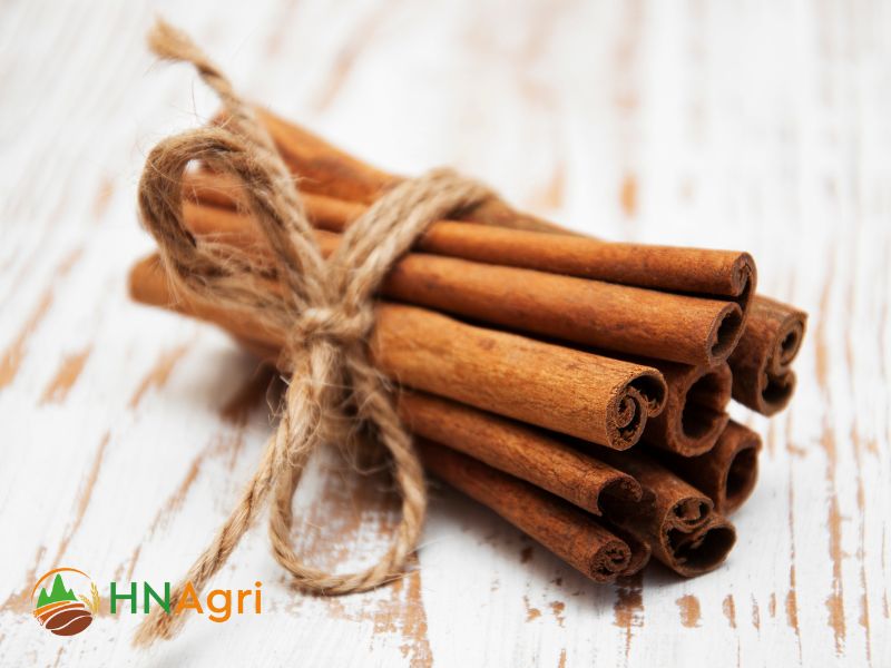 vietnamese-cinnamon-unleashed-wholesale-benefits-insights-3