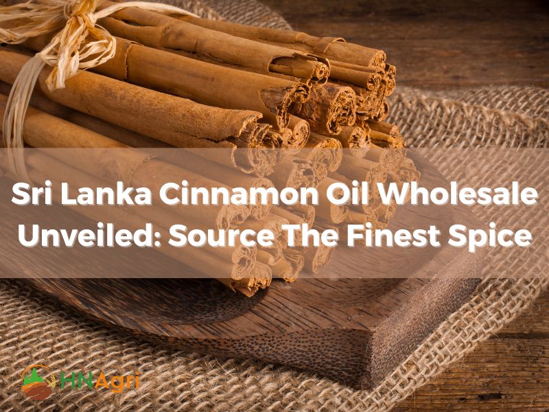 sri-lanka-cinnamon-oil-wholesale-unveiled-source-finest-spice-1