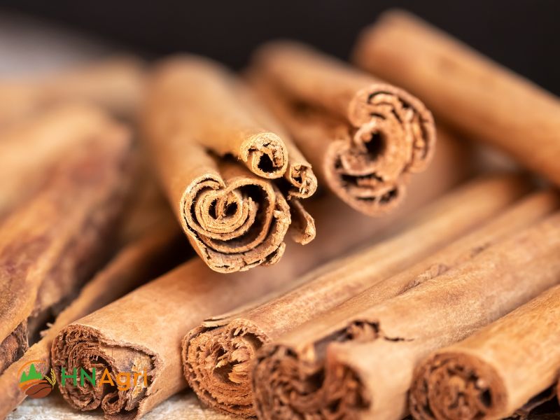 sri-lanka-cinnamon-oil-wholesale-unveiled-source-finest-spice-2